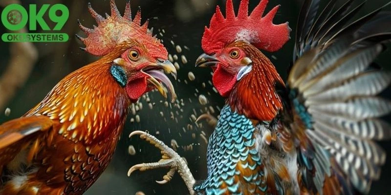 Vảy huyền trâm